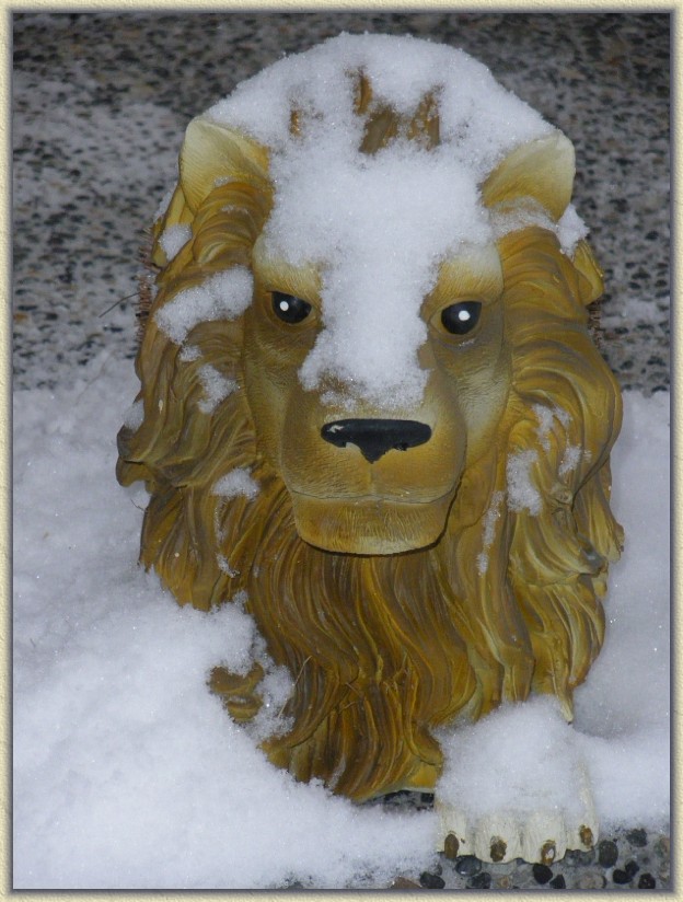 Click for the original image