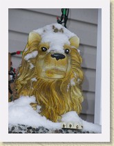 IMGP1706_lion_boot_cleaner_and_snow * Lion boot cleaner and snow. * Lion boot cleaner and snow. * 2448 x 3264 * (1.94MB)