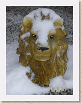 IMGP1708_lion_boot_cleaner_and_snow * Lion boot cleaner and snow. * Lion boot cleaner and snow. * 2448 x 3264 * (1.96MB)